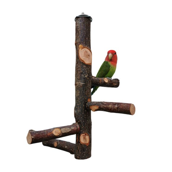 Parrot Bird Wood Stand Pole Toy - Image 5