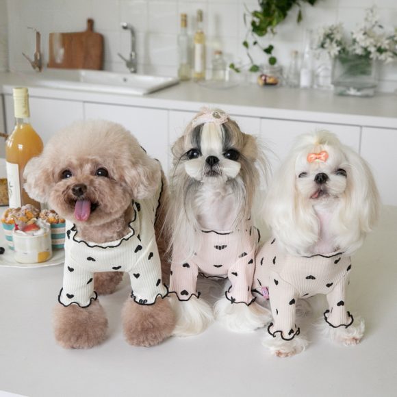 Home Vest Dog Cat New Year Christmas Dress - Image 3