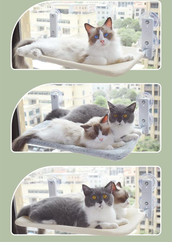 Cat Suction Cup Window Glass Hammock Pet Cat Pets Products - Image 9
