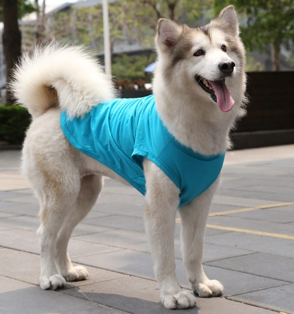 XS-5XL Dog Vest Dog Shirt Summer Small Medium Dog Clothes Chihuahua Tshirt - Image 9