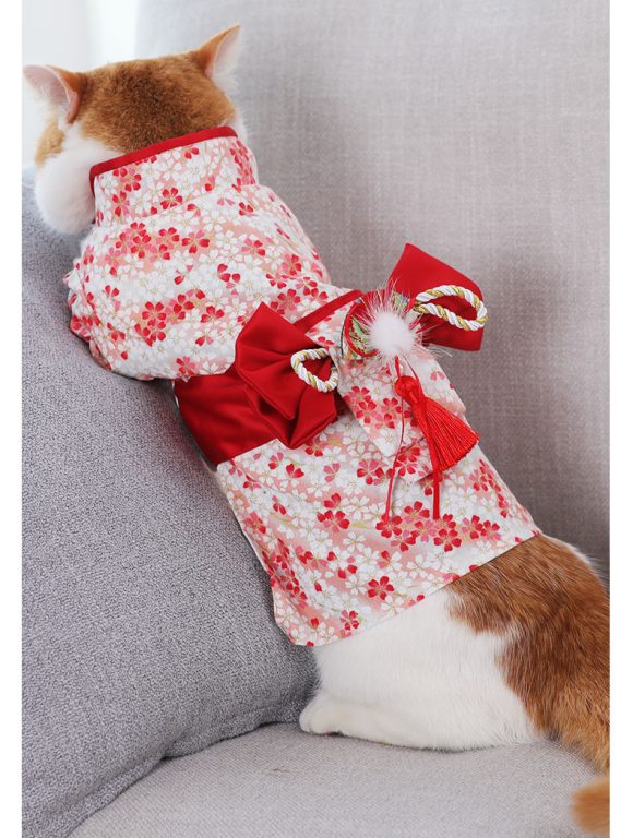 Thin Kimono Hairless Cat Puppet Pet Cat Dress - Image 7