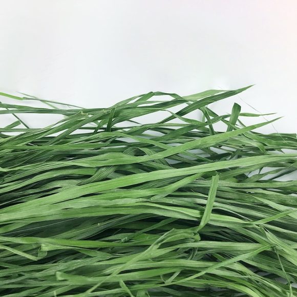 Dried Timothy FCL Hay Snacks Feed Chinchilla Guinea Pig Food Rabbits Pet Products - Image 4