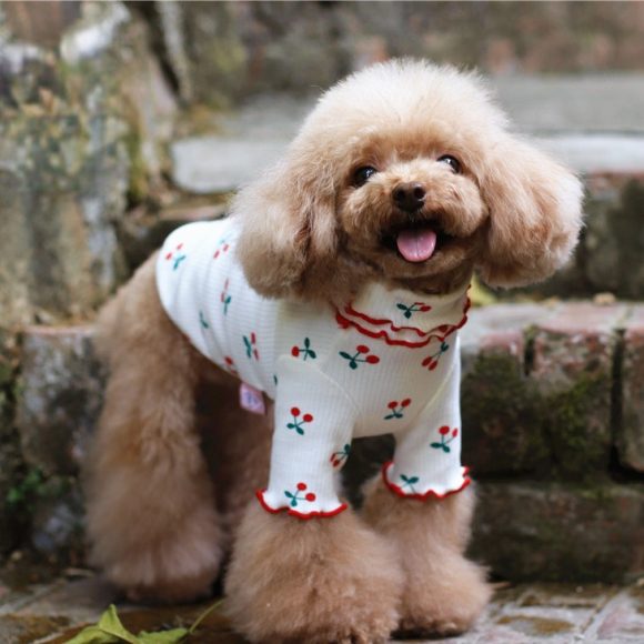 Cotton Cherry Print Wavy Edge Lapel Top Dog Clothes - Image 3