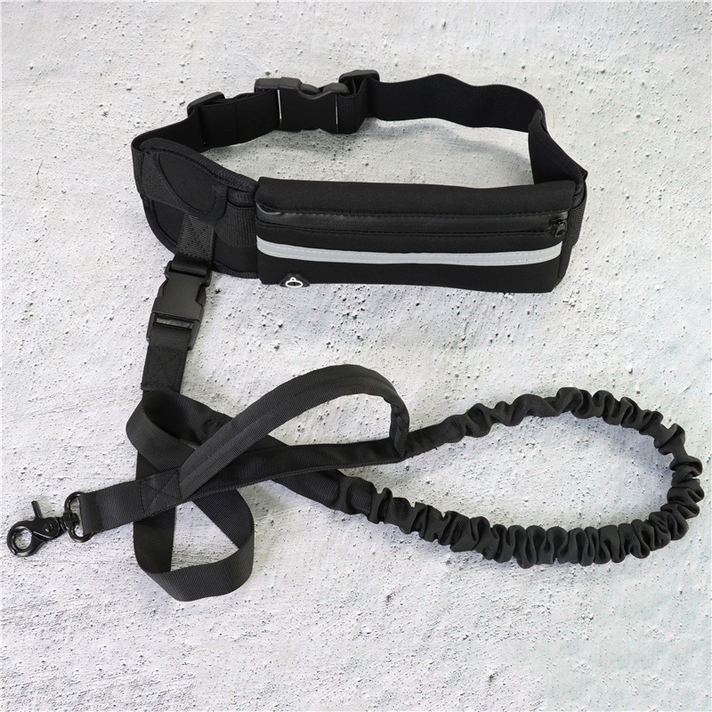 Pet Leashes