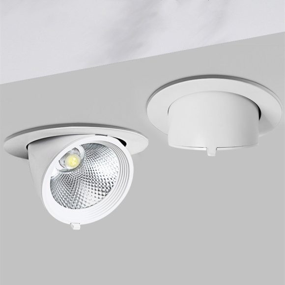 Elephant Trunk Light Recessed Spotlight