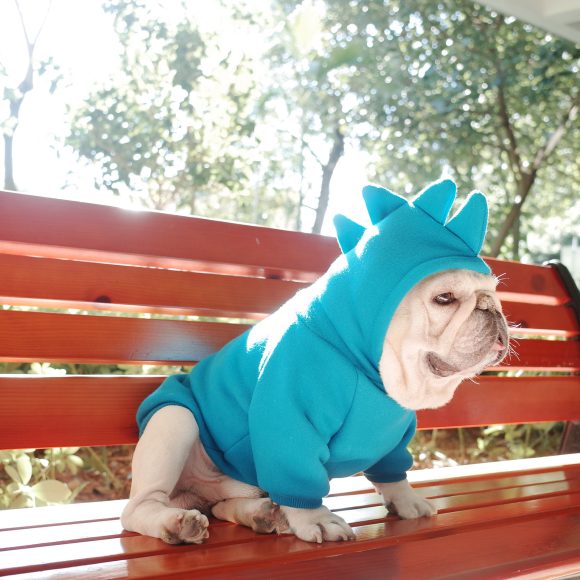Pet Apparel Fleece Solid Color Hoodie - Image 5