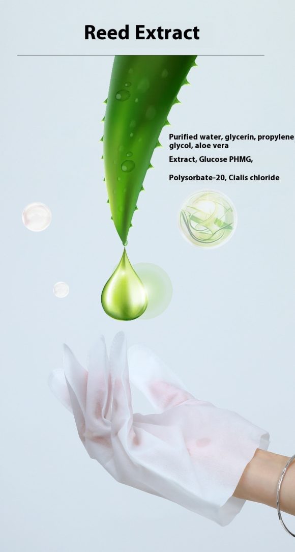 Dry Cleaning Disinfecting Paper Deodorant Pet Supplies Pet Disposable Gloves - Image 2