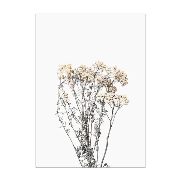 Nordic Small Plant Decoration Painting Canvas Painting - Image 8