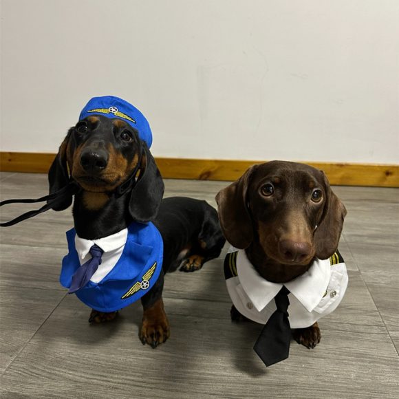 Dachshund Dog Funny Clothes Halloween Suit - Image 4