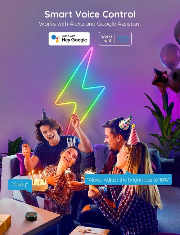 12V24V Bluetooth WIFI5 M RGBIC Colorful Music Neon Light - Image 2