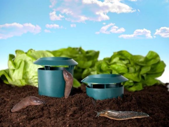 Garden Vegetable Garden Snail Trap - Image 3