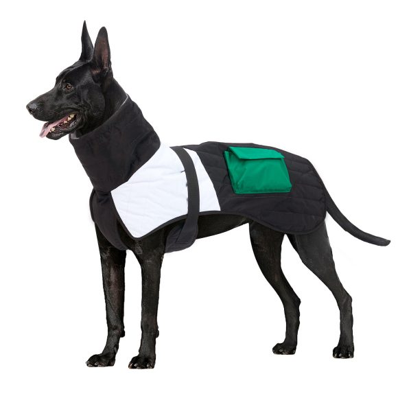 Pet Dog Clothes Winter Thickened Warm Dog Padded Winter Coat - Image 3