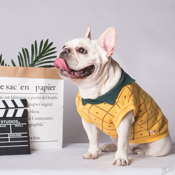 Dog Clothes - Image 4