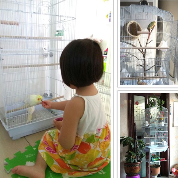 Portable Pet Display Cage Wire Bird Cage Parrot Cage - Image 3