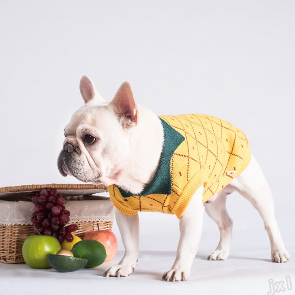 Dog Clothes - Image 5
