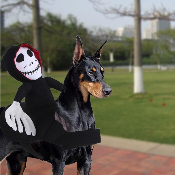 NEW Funny Pet Halloween Costume Halloween Pet Decoration Dress Up Pet Cosplay Costume Halloween Pet Clothes Spider Pumpkin Vest - Image 4