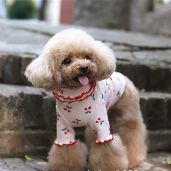 Cotton Cherry Print Wavy Edge Lapel Top Dog Clothes - Image 2