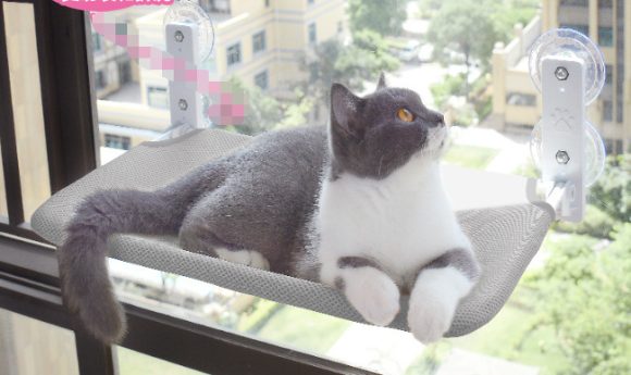 Cat Suction Cup Window Glass Hammock Pet Cat Pets Products - Image 7