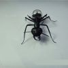 Solar Ant Baby Electronic Pet Toy