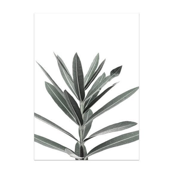 Nordic Small Plant Decoration Painting Canvas Painting - Image 6
