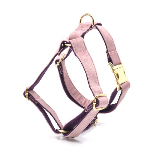 Green Velvet Dog Collar Dog Leash Pet Collar - Image 7