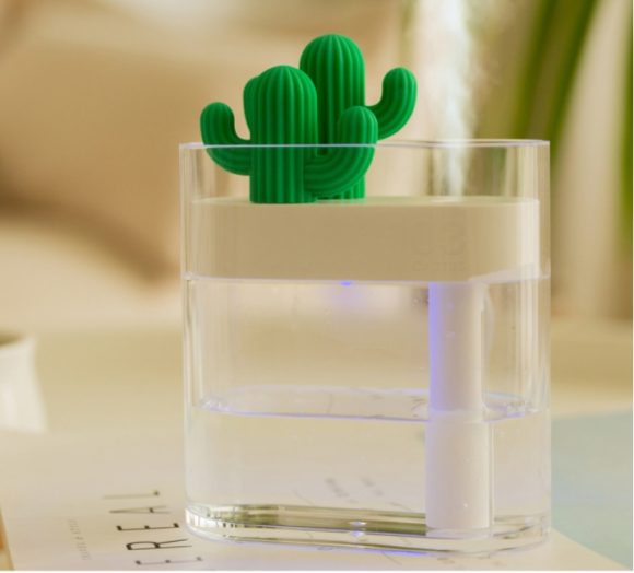 Transparent Landscape Cactus Portable Humidifier - Image 2