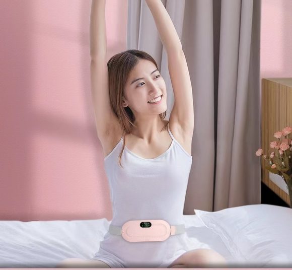 Electric Stomach Warming With Lumbar Support Bag - Image 6