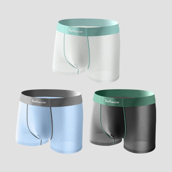 Ice Silk Anti-stuffy Anti-friction Physical Test Running Jacquard Underwear - Image 5