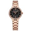 Fashion Casual Steel Strap Women's Watch - Image 5