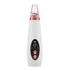 Facial LED Color Light Beauty Instrument - Image 2