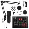 Microphone Recording Condenser Microphone Set