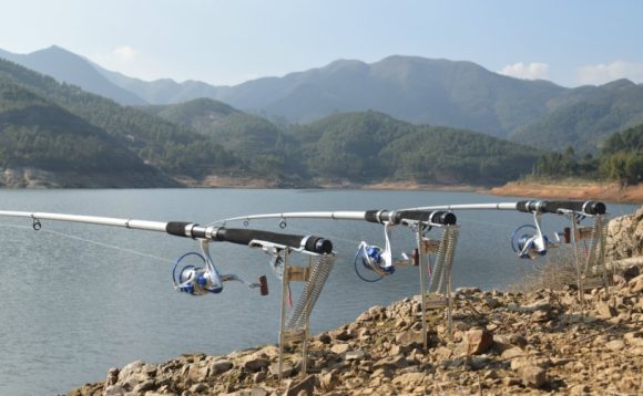 Master Fish Detector - Image 4
