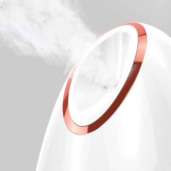 Nano Thermal Spray Moisturizing Face Steamer - Image 2