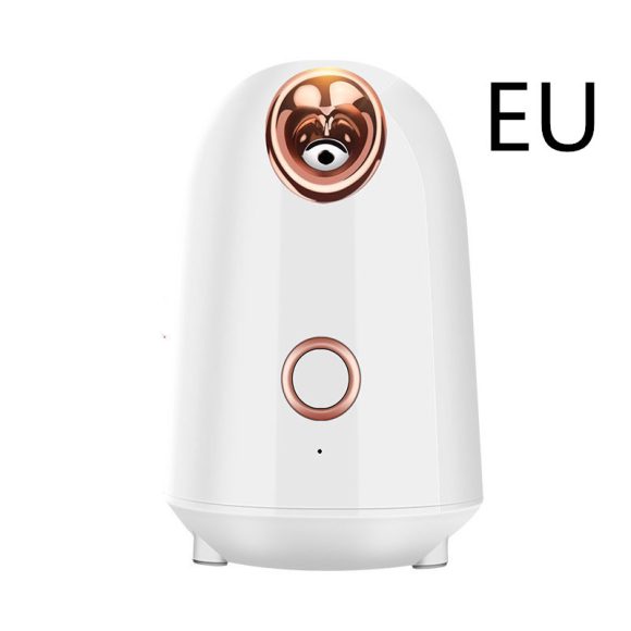 Nano Thermal Spray Moisturizing Face Steamer - Image 3