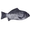 Cloth Large Capacity Crucian Carp Pencil Case - Image 2