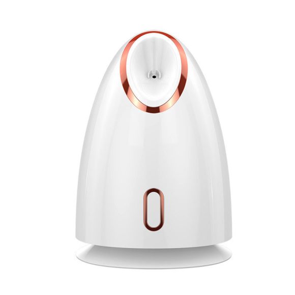 Nano Thermal Spray Moisturizing Face Steamer - Image 6