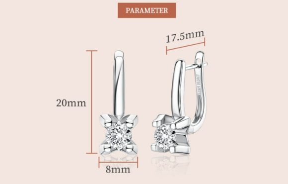 Moissanite Earrings S925 Sterling Silver - Image 6
