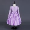 Carisa Europe and America autumn and winter children's dress princess dress long sleeve flower girl dress female purple lace costumes wholesale - Image 3