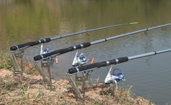 Master Fish Detector - Image 3