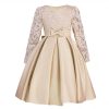 Carisa Europe and America autumn and winter children's dress princess dress long sleeve flower girl dress female purple lace costumes wholesale - Image 2