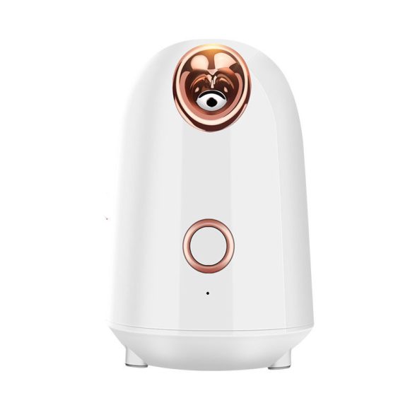 Nano Thermal Spray Moisturizing Face Steamer - Image 7