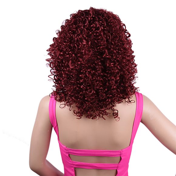 Synthetic Afro Curly Wig African Wigs For Black Women - Image 5