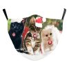 Santa Elk Digital Printing Double-layer Dust Mask - Image 5