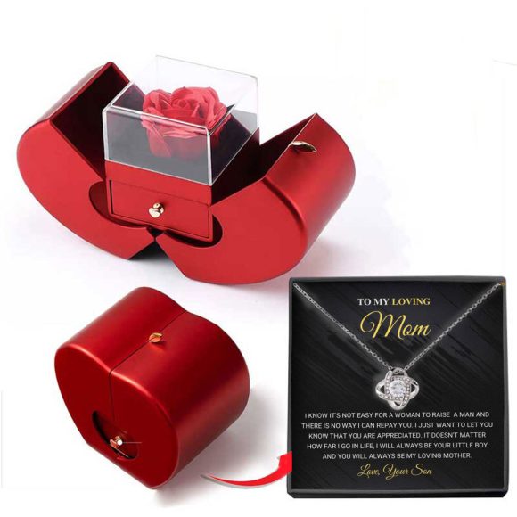 Niche Mother's Day Gift Clavicle Chain Apple Box Set - Image 4
