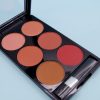 Make-up Multi-color Boutique Domestic Product Six-color Blush Repair Makeup - Image 5