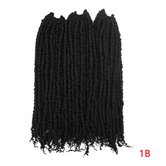 African Dirty Braids - Image 4