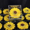 Artificial Flower Sunflower Necklace Acrylic Jewelry Box - Image 6