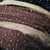 Fashion Rhinestone Mesh Stockings For Women - Image 3