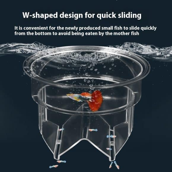 Fish Tank Incubator Breeding Box Acrylic Isolation Box - Image 9